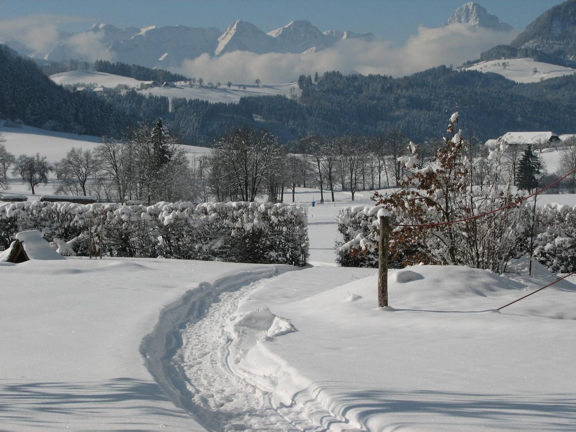 Villa Sonnwend National Park Lodge Rossleithen Bagian luar foto